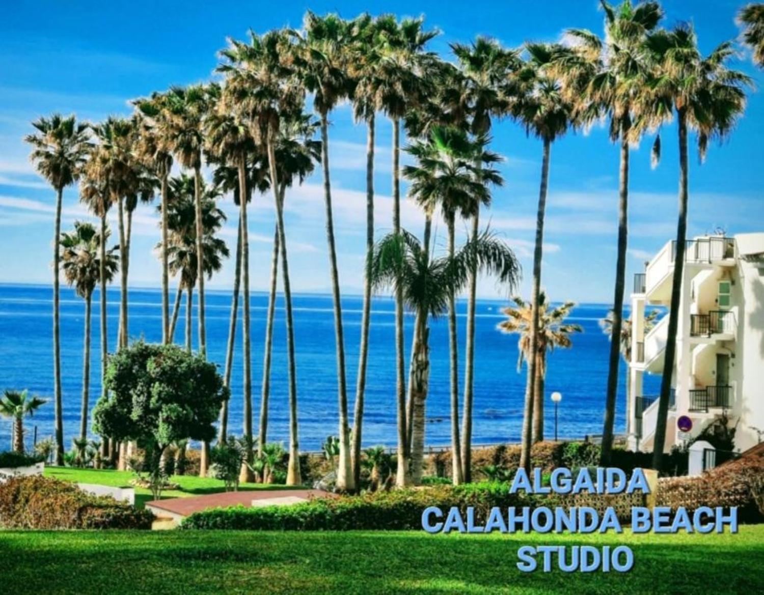 Nuevo! Algaida Calahonda Beach Studio Sitio de Calahonda Zewnętrze zdjęcie